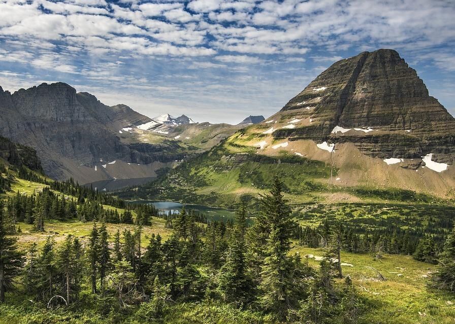 #35. Montana